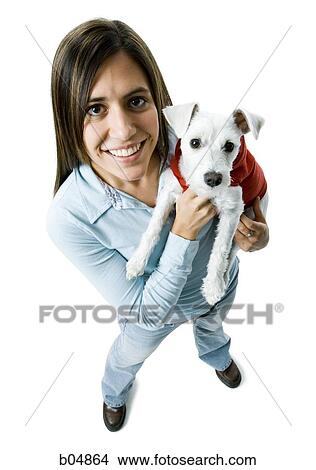 Woman with white dog in hooded sweatshirt View Large Photo Image Picture - Woman with white dog in hooded sweatshirt. Fotosearch