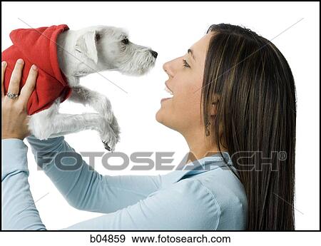 Woman with white dog in hooded sweatshirt View Large Photo Image Stock Photo - Woman with white dog in hooded sweatshirt. Fotosearch