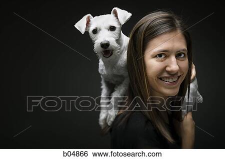 Woman with white dog on shoulder View Large Photo Image Stock Photograph - Woman with white dog on shoulder. Fotosearch