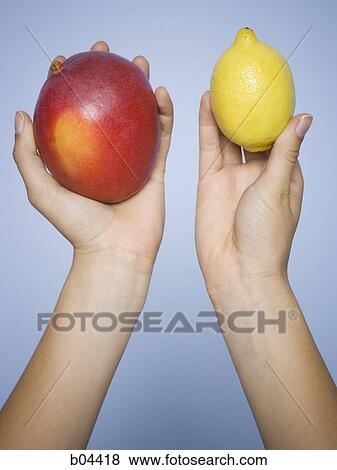 Woman's hands holding mango and lemon View Large Photo Image Stock Photo - Woman's hands holding mango and lemon. Fotosearch