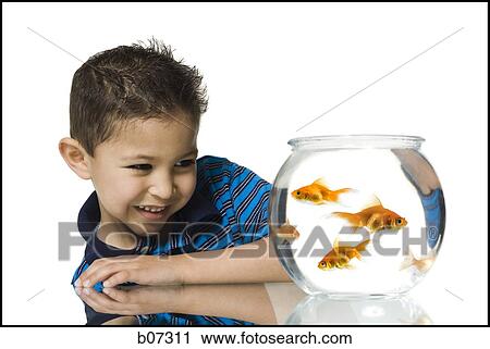 Boy with goldfish and bowl View Large Photo Image Stock Image - Boy with goldfish and bowl. Fotosearch