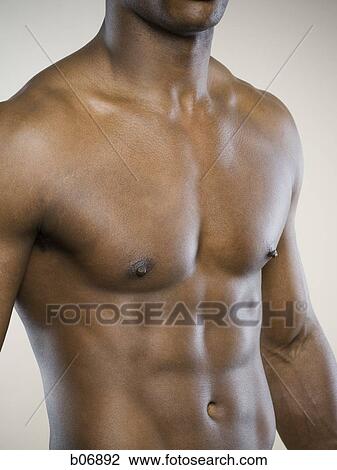 Chest and abdomen View Large Photo Image Stock Image - Chest and abdomen. Fotosearch