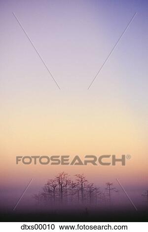 Stock Image - Clear sky over trees in distance. Fotosearch