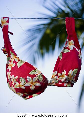 Close-up of a bikini top hanging on a clothesline View Large Photo Image Picture - Close-up of a bikini top hanging on a clothesline. Fotosearch