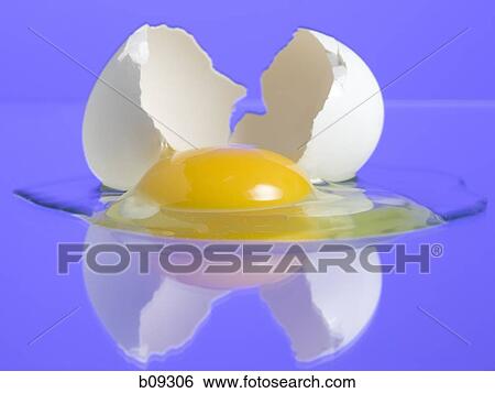 Close-up of a broken egg View Large Photo Image Stock Photograph - Close-up of a broken egg. Fotosearch