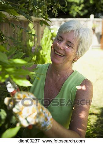 Close-up of a mature woman gardening and smiling View Large Photo Image Stock Photo - Close-up of a mature woman gardening and smiling. Fotosearch
