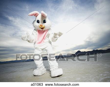 Close-up of a person wearing a rabbit costume View Large Photo Image Stock Image - Close-up of a person wearing a rabbit costume. Fotosearch