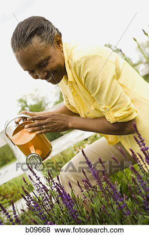 Stock Photo - Close-up of a senior woman watering flowers. Fotosearch