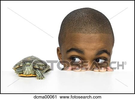 Close-up of boy and turtle View Large Photo Image Stock Image - Close-up of boy and turtle. Fotosearch