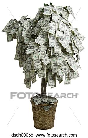 Close-up of dollar bills on a money tree View Large Photo Image Stock Photography - Close-up of dollar bills on a money tree. Fotosearch