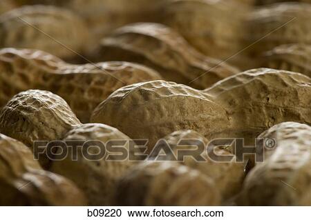 Stock Image - Close-up of peanuts. Fotosearch