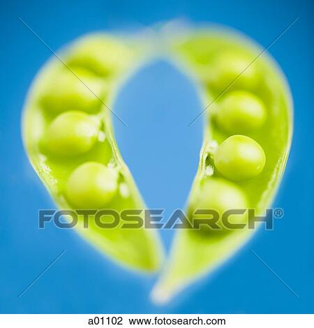 Close-up of peas in pods View Large Photo Image Stock Image - Close-up of peas in pods. Fotosearch