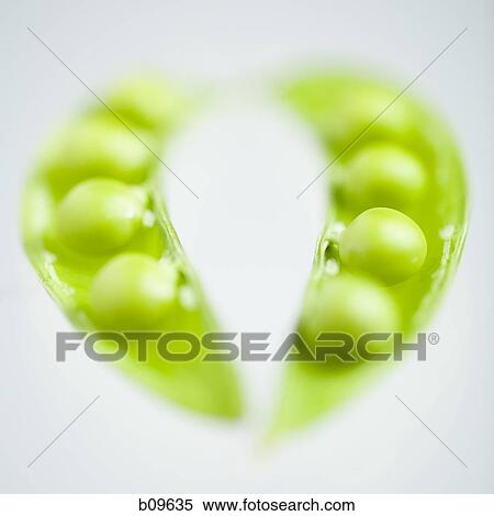 Close-up of peas in pods View Large Photo Image Stock Photography - Close-up of peas in pods. Fotosearch