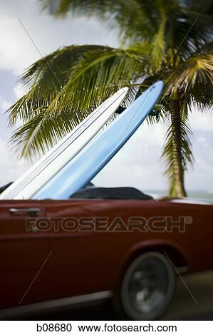 Close-up of two surfboards in a car View Large Photo Image Stock Image - Close-up of two surfboards in a car. Fotosearch