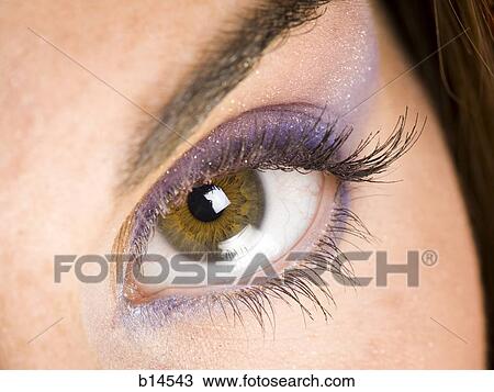 Closeup of female eye with purple eyeshadow View Large Photo Image Stock Image - Closeup of female eye with purple eyeshadow. Fotosearch