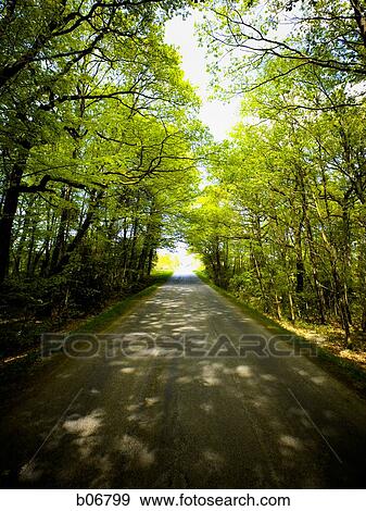 Country road View Large Photo Image Stock Photo - Country road. Fotosearch