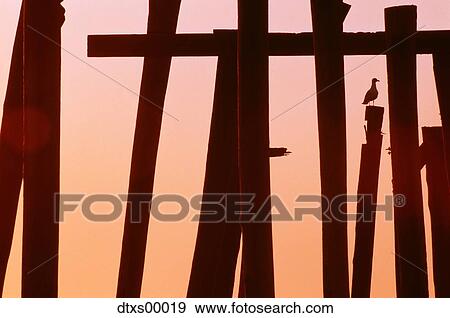 Stock Photo - Decaying pier. Fotosearch
