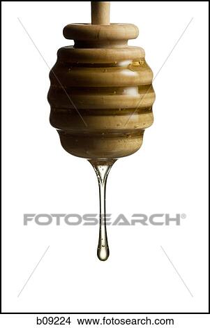 Drop of honey falling from a honey dipper View Large Photo Image Picture - Drop of honey falling from a honey dipper. Fotosearch