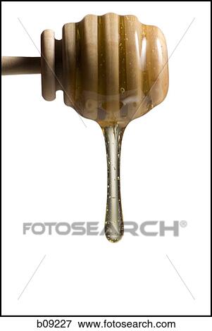 Drop of honey falling from a honey dipper View Large Photo Image Stock Photo - Drop of honey falling from a honey dipper. Fotosearch