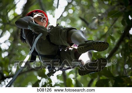 Female tree climber View Large Photo Image Stock Photograph - Female tree climber. Fotosearch