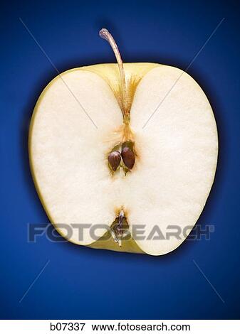 Half an apple View Large Photo Image Stock Photo - Half an apple. Fotosearch