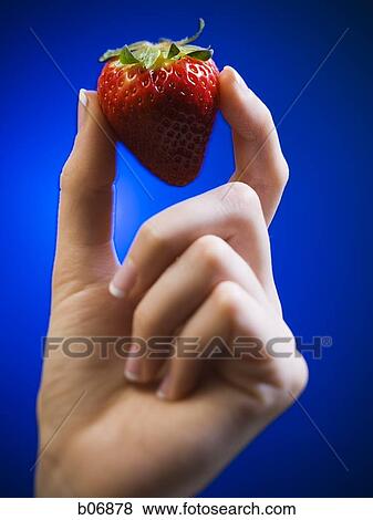 Hand with fingers holding strawberry View Large Photo Image Stock Photo - Hand with fingers holding strawberry. Fotosearch