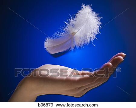 Hand with floating feather View Large Photo Image Stock Photo - Hand with floating feather. Fotosearch
