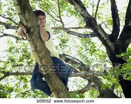 Low angle view of a boy lying on the branch of a tree View Large Photo Image Stock Image - Low angle view of a boy lying on the branch of a tree. Fotosearch