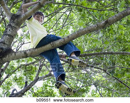 Low angle view of a boy sitting on the branch of a tree View Large Photo Image Stock Image - Low angle view of a boy sitting on the branch of a tree. Fotosearch