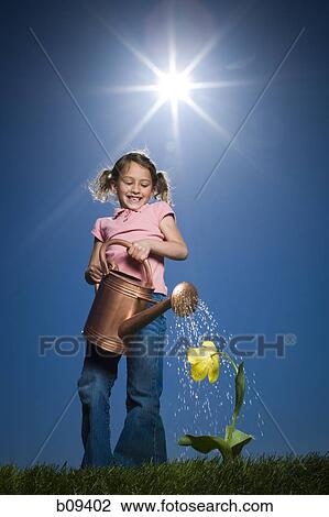 Low angle view of a girl watering a plant View Large Photo Image Stock Image - Low angle view of a girl watering a plant. Fotosearch