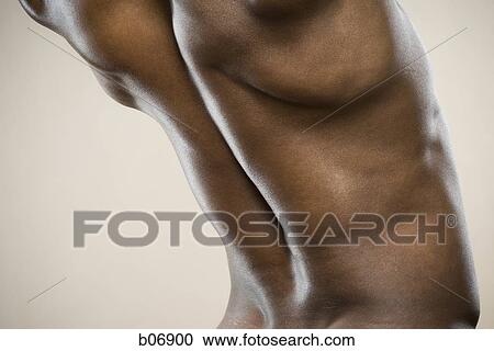Stock Image - Muscular back. Fotosearch