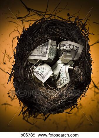 Nest with bank notes View Large Photo Image Stock Photography - Nest with bank notes. Fotosearch