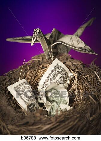Nest with banknotes and origami bird View Large Photo Image Stock Photo - Nest with banknotes and origami bird. Fotosearch