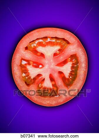 One Slice of Tomato View Large Photo Image Stock Image - One Slice of Tomato. Fotosearch