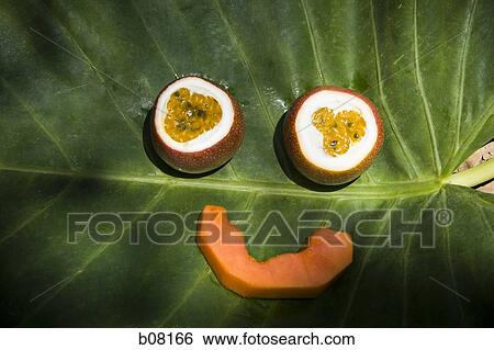 Passionfruit and cantaloupe slice arranged into a face View Large Photo Image Stock Photograph - Passionfruit and cantaloupe slice arranged into a face. Fotosearch