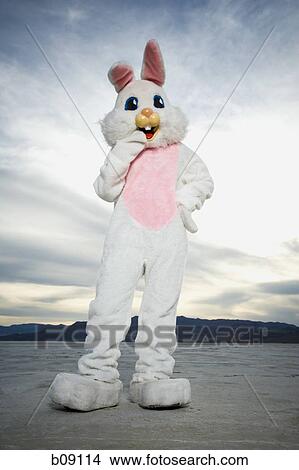 Person wearing a rabbit costume View Large Photo Image Picture - Person wearing a rabbit costume. Fotosearch