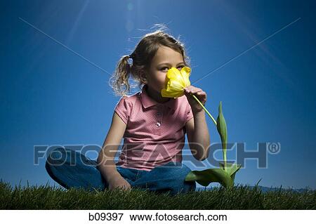 Portrait of a girl smelling a flower View Large Photo Image Stock Photo - Portrait of a girl smelling a flower. Fotosearch