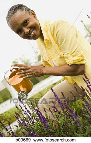 Portrait of a senior woman watering flowers View Large Photo Image Stock Photo - Portrait of a senior woman watering flowers. Fotosearch