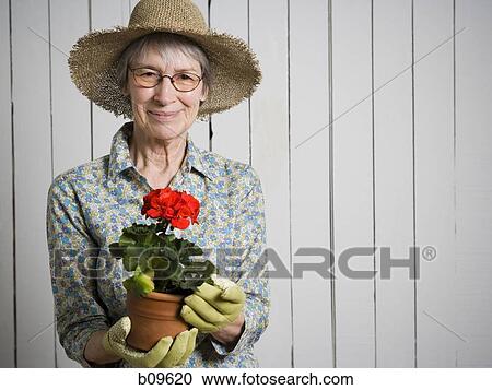 Portrait of an elderly woman holding a potted flower plant View Large Photo Image Stock Image - Portrait of an elderly woman holding a potted flower plant. Fotosearch