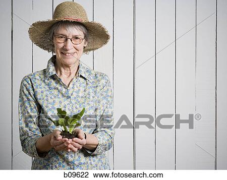 Portrait of an elderly woman holding a plant View Large Photo Image Stock Image - Portrait of an elderly woman holding a plant. Fotosearch
