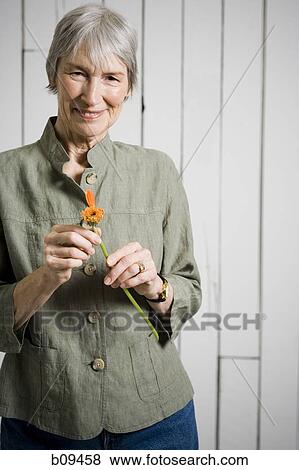 Portrait of an elderly woman holding a flower View Large Photo Image Stock Photo - Portrait of an elderly woman holding a flower. Fotosearch