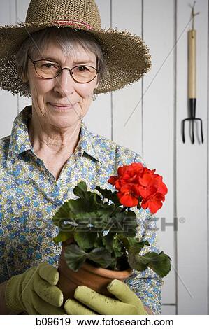 Portrait of an elderly woman holding a potted plant View Large Photo Image Stock Photo - Portrait of an elderly woman holding a potted plant. Fotosearch