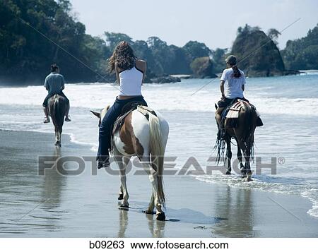 Rear view of three people riding horses on the beach View Large Photo Image Stock Image - Rear view of three people riding horses on the beach. Fotosearch