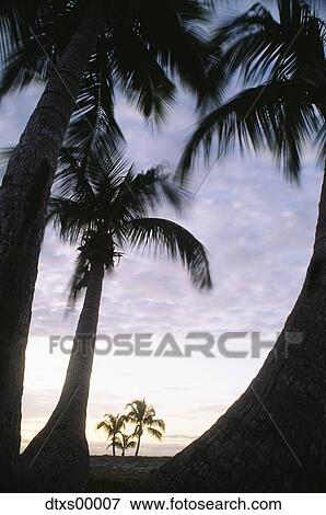 Reflective wave View Large Photo Image Stock Photo - Reflective wave. Fotosearch