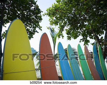 Surfboards in a row View Large Photo Image Picture - Surfboards in a row. Fotosearch