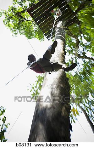 Tree climber View Large Photo Image Stock Image - Tree climber. Fotosearch