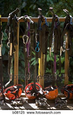 Tree climbing equipment View Large Photo Image Stock Photography - Tree climbing equipment. Fotosearch