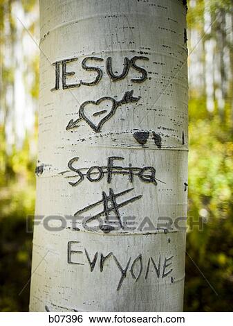 Tree graffiti View Large Photo Image Stock Photograph - Tree graffiti. Fotosearch