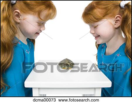 Twin sisters watching turtle View Large Photo Image Stock Image - Twin sisters watching turtle. Fotosearch