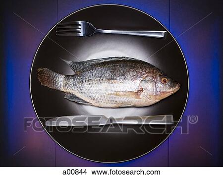 Whole fish in a plate View Large Photo Image Picture - Whole fish in a plate. Fotosearch